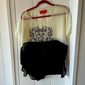 Pretty sequined sheer top